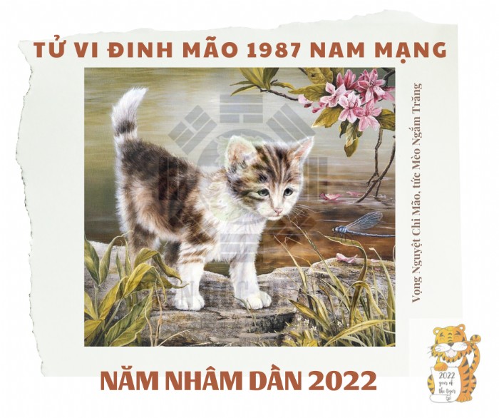 Tử Vi Tuổi Đinh Mão Năm 2022 - Nữ Mạng 1987 Chi Tiết