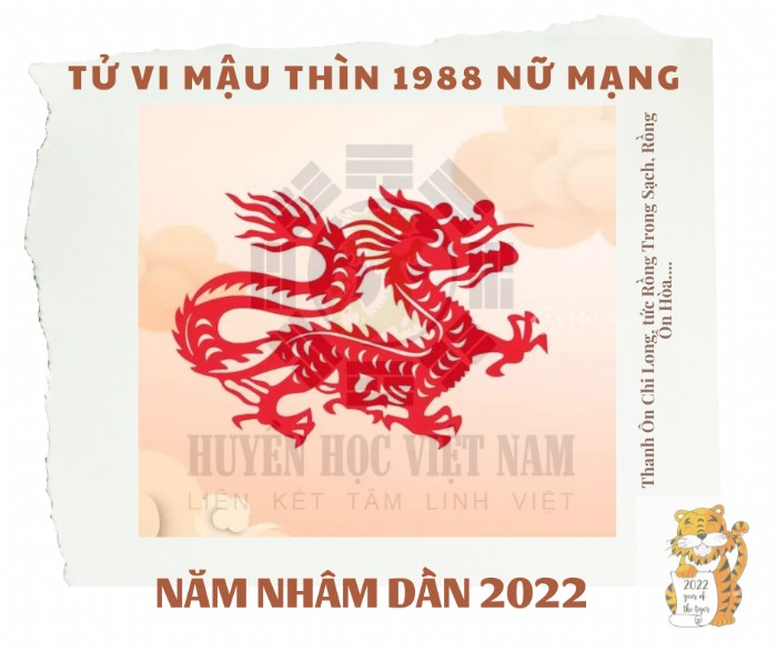 Tử Vi Tuổi Mậu Thìn 1988 Năm 2023 - Nam Mạng